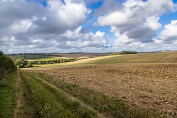 Obraz premium A pathway running alongside farmland in the South Downs, on a sunny late summer's day