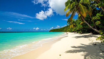 Obraz premium Idyllic tropical beach paradise scene with azure water and palm trees
