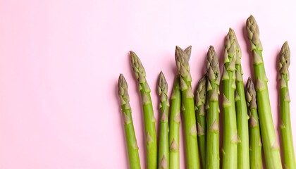 Fresh asparagus spears arranged on a pink background
