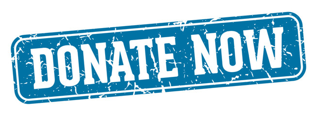 Fototapeta premium donate now rectangular sign. donate now stamp