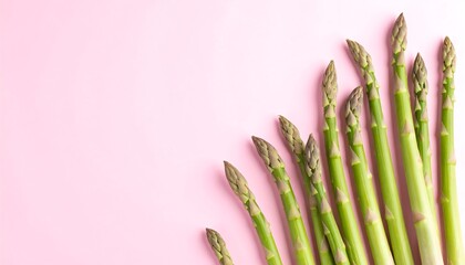 Fresh asparagus spears on a pink background