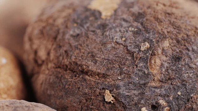 Black and White chunos potatoes from Peru, chuno food from potato, bolivian peruvian traditional dish. 