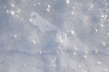 blue ice texture background