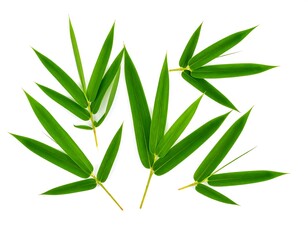 Fresh bamboo leaves arranged on white background