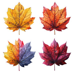 Watercolor illustration of four colorful autumn leaves isolated on transparent background, showcasing the beauty of fall foliage in vibrant hues