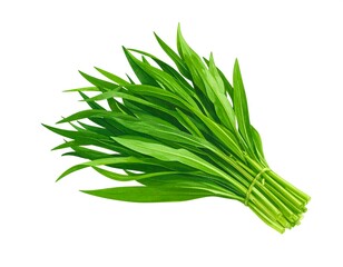 Fresh bunch of green leaves