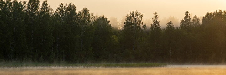Morning fog on a forest lake. View of trees on the shore of the lake. Golden morning light at sunrise. Summer landscape. Beautiful natural background. Wide panorama.