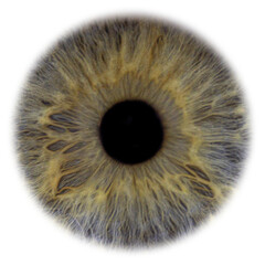 eye of the girl © NZAMETTN