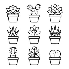 Cacti indoor vector kalanchoe potted plant cactus lithops jade icon moon zebra