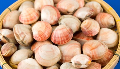 Fresh clams in a bamboo steamer basket