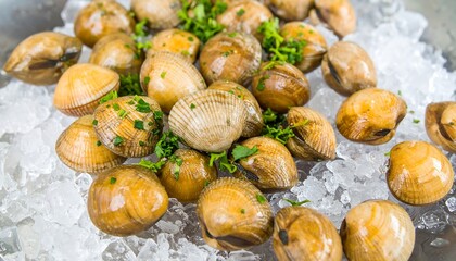 Fresh clams on ice
