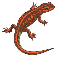 Orange and green newt