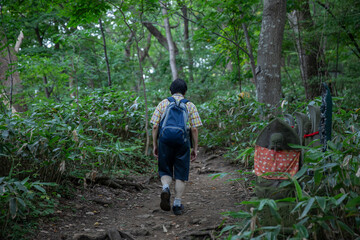 hiker in mountain trail of Maruyama Summit Sapporo Japan