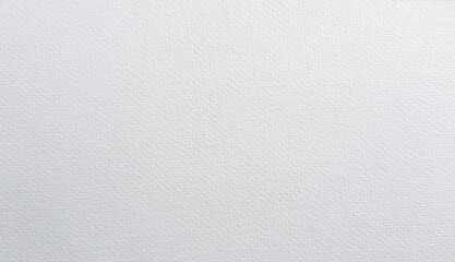 Fototapeta premium White Texture Surface