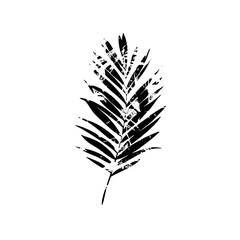 Vector Elegant palm leaf in monochrome style.