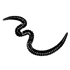 Vector Black worm with segmented body
