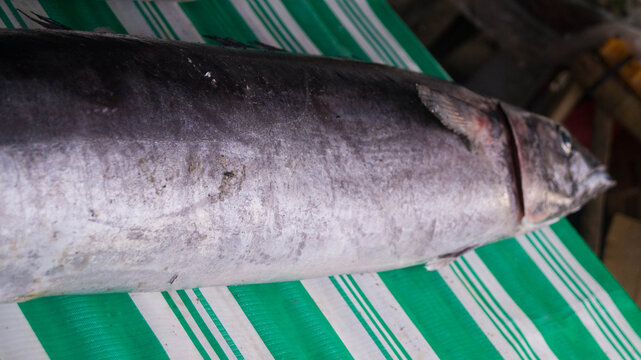 A photograph of raw fishes for sale at a small area in Kalibo, Aklan, Philippines. The fishes are from Antique, Panay, Philippines. 