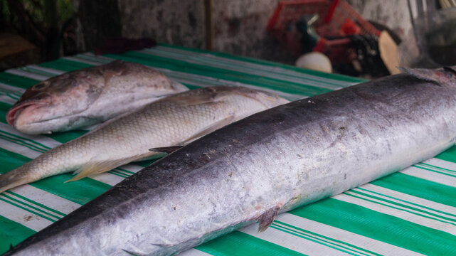 A photograph of raw fishes for sale at a small area in Kalibo, Aklan, Philippines. The fishes are from Antique, Panay, Philippines. 