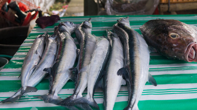 A photograph of raw fishes for sale at a small area in Kalibo, Aklan, Philippines. The fishes are from Antique, Panay, Philippines. 