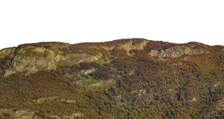 Forest and mountains isolated photo