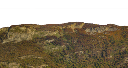 Forest and mountains isolated photo