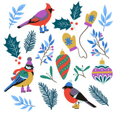 Set of Christmas cute design elements, Christmas tree toys, winter birds, fir tree and holly. Hand drawn vector illustration