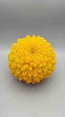 Yellow melon carving shaped like a chrysanthemum flower