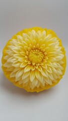 Yellow melon carving shaped like a chrysanthemum flower