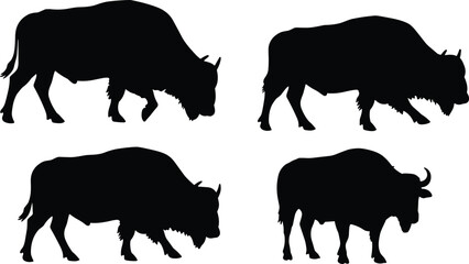 Silhouette bison wildlife illustration, buffalo animal vector art, wild mammal graphic design, nature symbol, North American fauna, rustic decoration