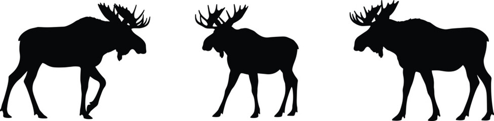 Silhouette of moose with large antlers, wildlife animal illustration, nature design element, forest mammal profile, hunting theme, vector graphic art