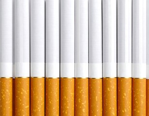 Close-up of many cigarettes