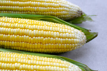 Sweet corn, Fresh yellow corn