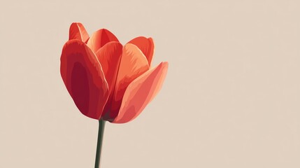 Elegant Red Tulip Blossom Illustration with Clean Background for Design Projects