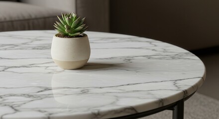 Modern marble table with succulent plant in white pot indoors  