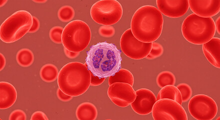 Microscopic view of red blood cells in the bloodstream