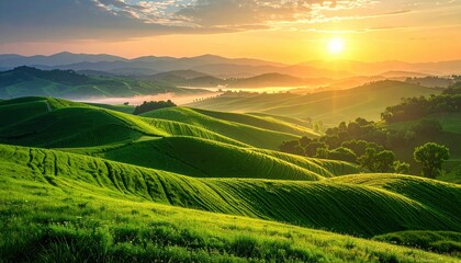 Sunrise Over Rolling Green Hills