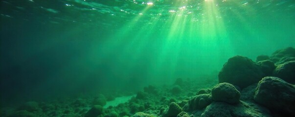 Intensely saturated green, almost glowing, evoking the feeling of a deep, salty sea Perfect for representing nature, freshness, or environmental themes , chlorophyll, underwater, ocean
