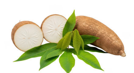 Fresh Cassava Root With Leaves