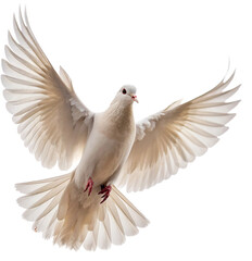 Fototapeta premium Graceful white dove takes flight, symbolizing peace, hope, and new beginnings. 