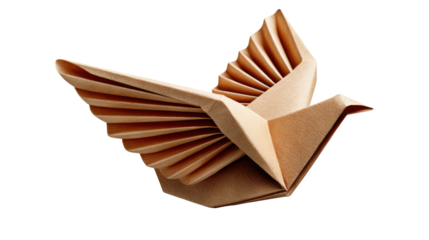 book, isolated, paper, open, white, education, shell