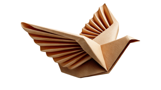 book, isolated, paper, open, white, education, shell