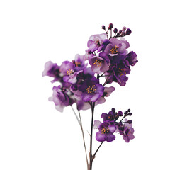 Naklejka premium Purple flower bouquet illustration