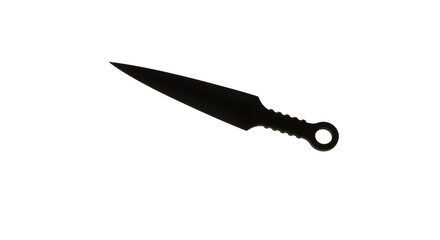 Shadow Blade: A single, sleek, black throwing knife lies isolated, presenting a stark, minimalist aesthetic, capturing a moment of focused stillness.