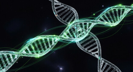 Abstract visualization of two intertwined, glowing green DNA double helix structures against a dark, starry background, symbolizing genetic research and molecular biology.
