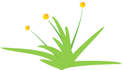 Nature Grass Decoration with Flower