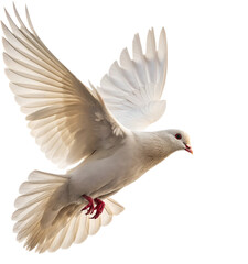 Fototapeta premium Graceful white dove takes flight, symbolizing peace, hope, and new beginnings in a clean, modern aesthetic. 