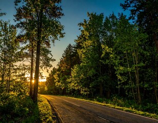Fototapeta premium Sun-drenched forest road at sunset