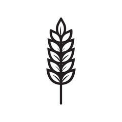 Black and White Wheat Stalk on a White Background