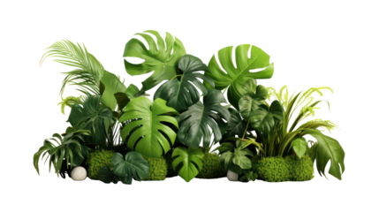 Plants in 3D rendering on transparent background