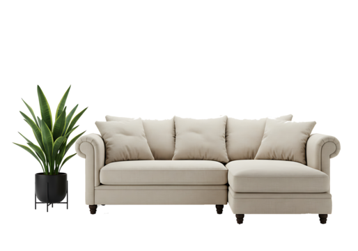 Front view sofa and plant in a living room on transparent background- 3D rendering
